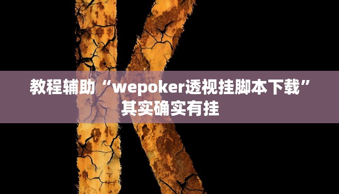玩家辅助神器:“wepoker私人局透视挂方法”其实确实有挂