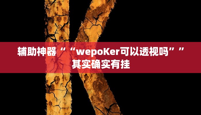 玩家辅助神器:“wepokerplus辅助透视挂教程”开挂详细教程