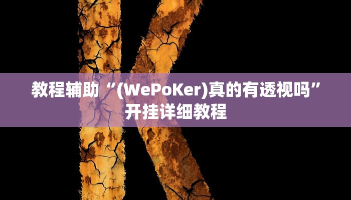 玩家辅助神器:“wepokerplus透视下载”开挂详细教程