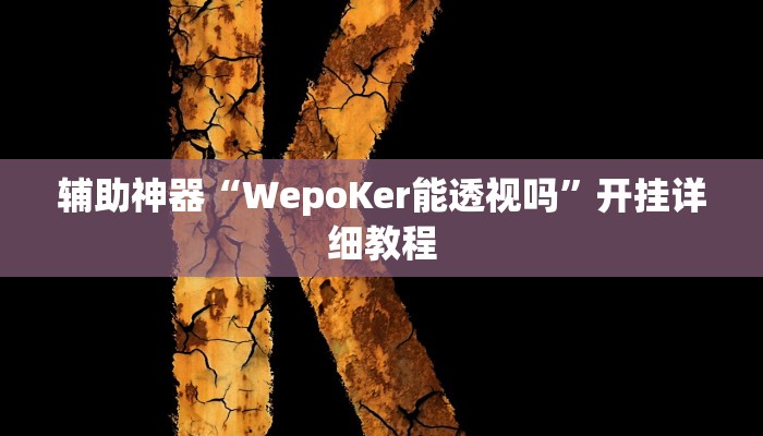 辅助神器“WepoKer能透视吗”开挂详细教程