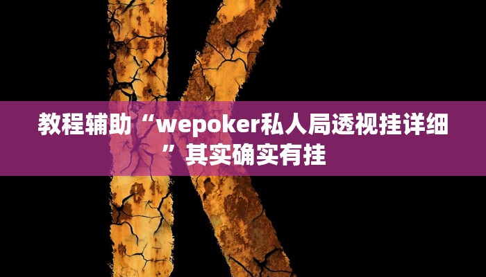 开挂辅助工具“wepoker辅助透视软件,难怪经常输&原来有猫腻