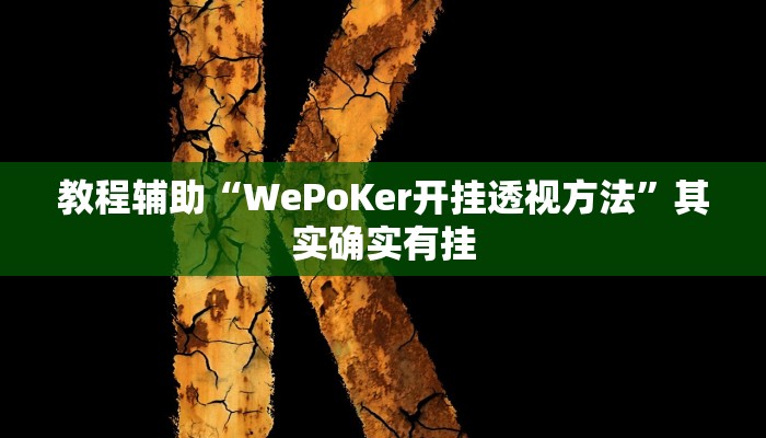 教程辅助“WePoKer开挂透视方法”其实确实有挂