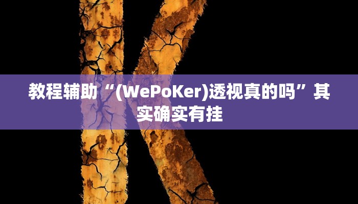 教程辅助“Hhpoker有辅助外挂吗”开挂详细教程