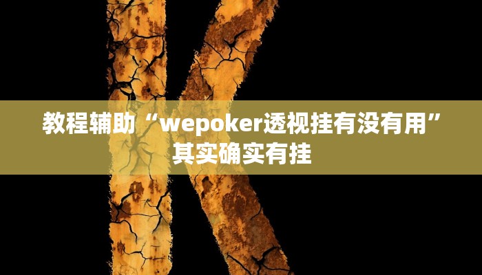 辅助教程“wepoker开挂透视作弊挂!(透视)详细辅助透视教程
