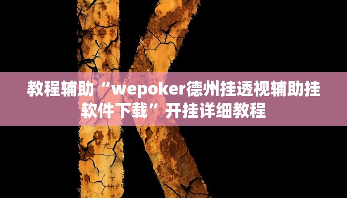 教程辅助“wepoker德州挂透视辅助挂软件下载”开挂详细教程