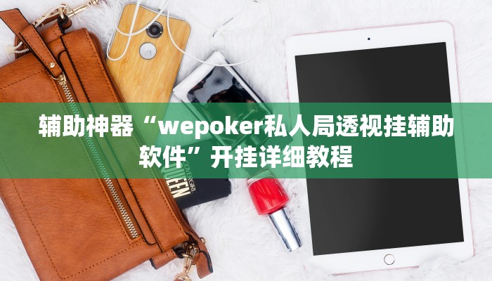 辅助神器“wepoker私人局透视挂辅助软件”开挂详细教程