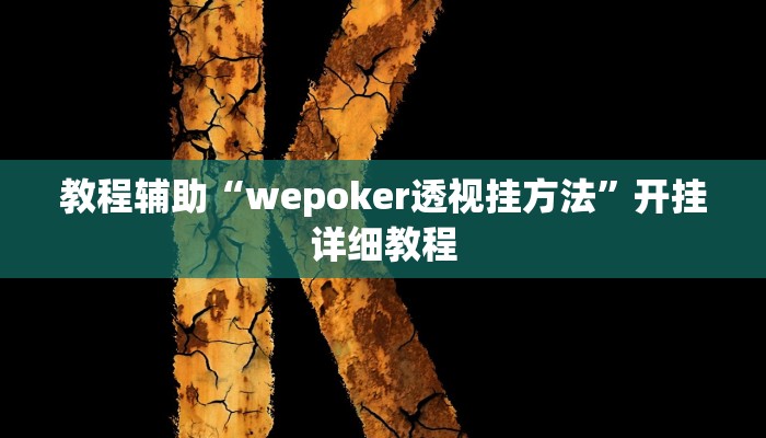 教程辅助“wepoker透视挂方法”开挂详细教程