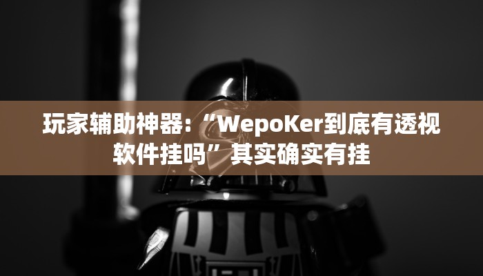 辅助神器“werplan透视作弊方法”开挂详细教程