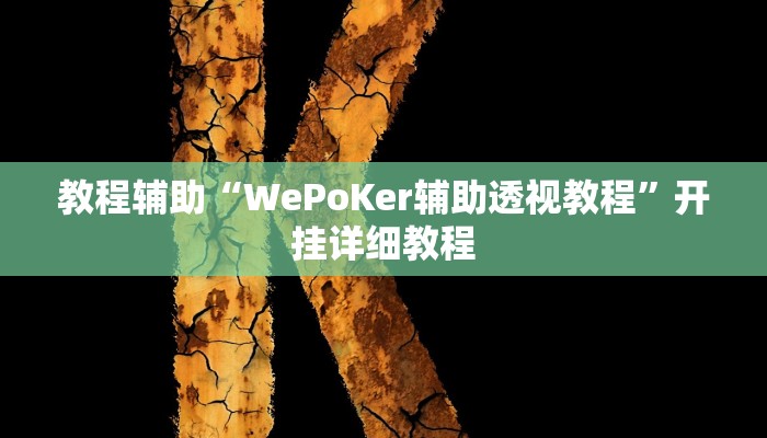 玩家辅助神器:“德州wepoker作弊辅助透视挂”其实确实有挂