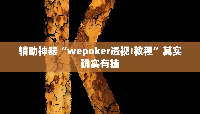 辅助神器“wepoker透视!教程”其实确实有挂