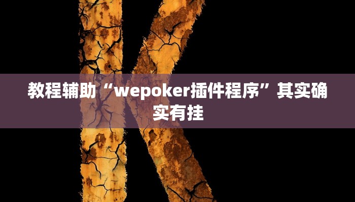 教程辅助“wepoker插件程序”其实确实有挂 教程辅助“wepoker插件程序”其实确实有挂