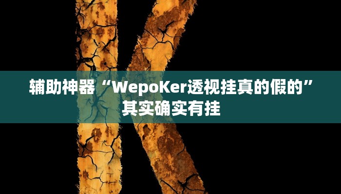 辅助神器“WepoKer透视挂真的假的”其实确实有挂