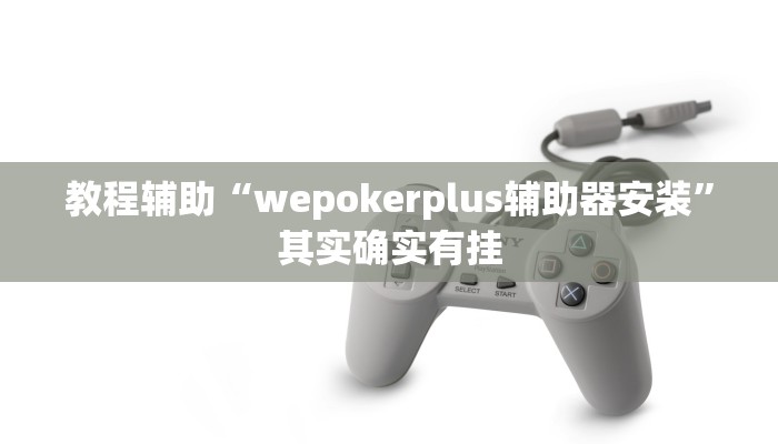 教程辅助“wepokerplus辅助器安装”其实确实有挂