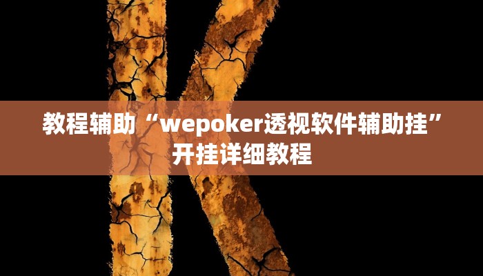教程辅助“wepoker透视软件辅助挂”开挂详细教程