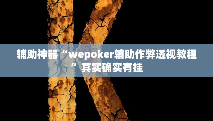 辅助神器“wepoker辅助作弊透视教程”其实确实有挂