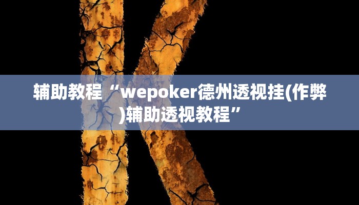 辅助神器“wpkplus德州辅助透视挂”开挂详细教程