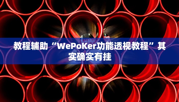 教程辅助“WePoKer功能透视教程”其实确实有挂 教程辅助“WePoKer功能透视教程”其实确实有挂