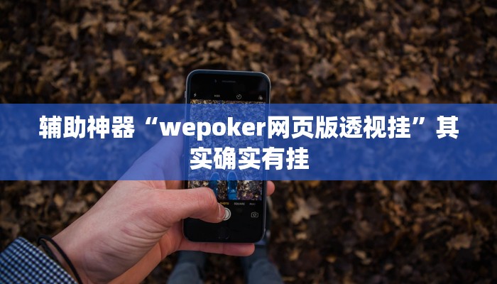 玩家辅助神器:“HHpoker怎么开挂”其实确实有挂
