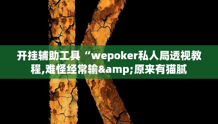 辅助神器“WepoKer究竟到底有没有挂”开挂详细教程