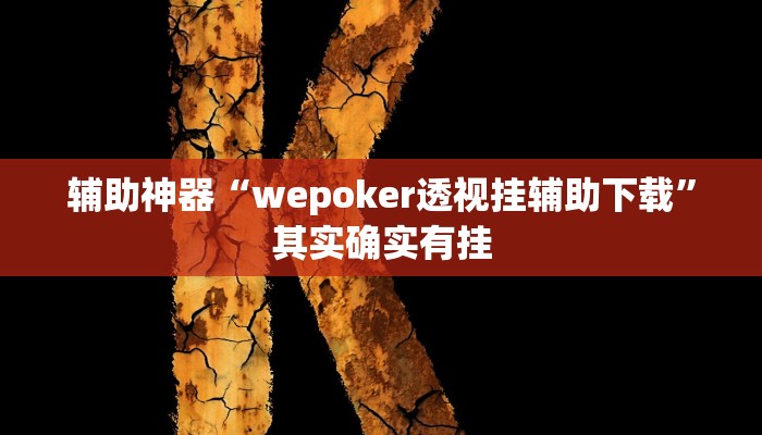辅助神器“wepoker透视挂辅助下载”其实确实有挂