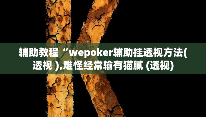 辅助教程“wepoker辅助挂透视方法(透视 ),难怪经常输有猫腻 (透视)