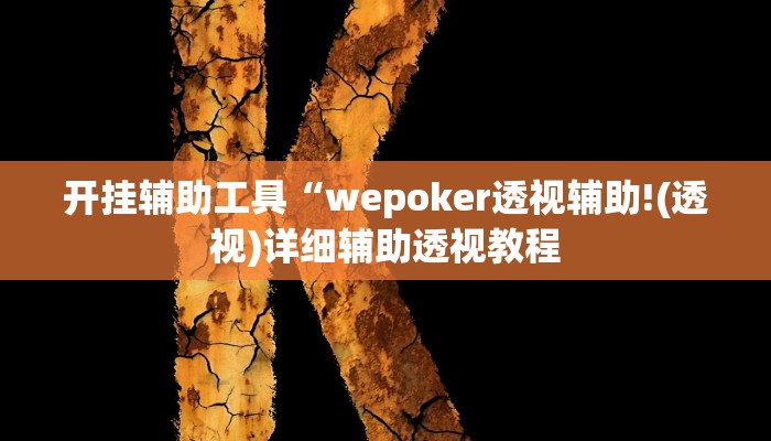 开挂辅助工具“wepoker透视辅助!(透视)详细辅助透视教程