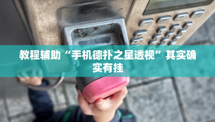 教程辅助“手机德扑之星透视”其实确实有挂