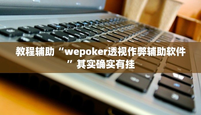 教程辅助“wepoker透视作弊辅助软件”其实确实有挂