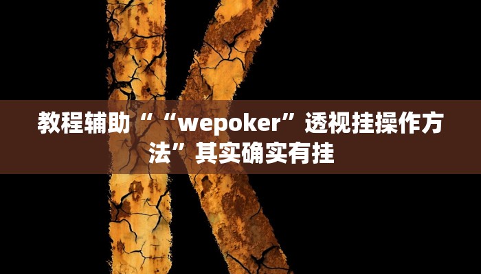 开挂辅助工具“wepoker辅助透视挂,难怪经常输&原来有猫腻