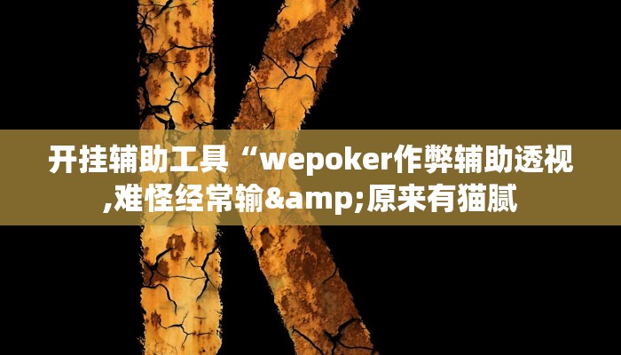 开挂辅助工具“wepoker作弊辅助透视,难怪经常输&原来有猫腻