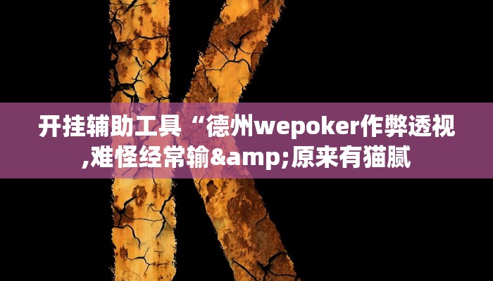 开挂辅助工具“德州wepoker作弊透视,难怪经常输&原来有猫腻