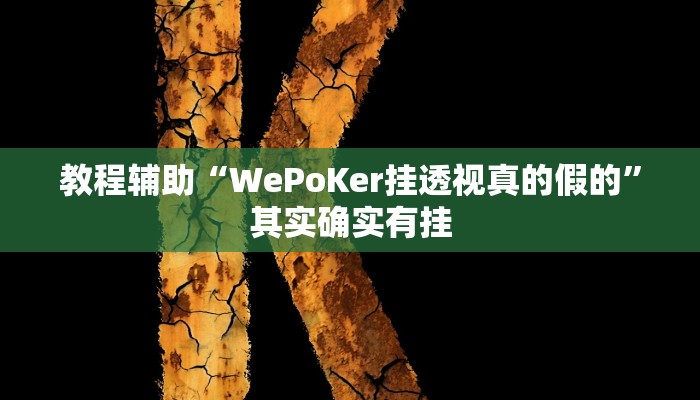 开挂辅助工具“wepoker私人局透视软件,难怪经常输&原来有猫腻