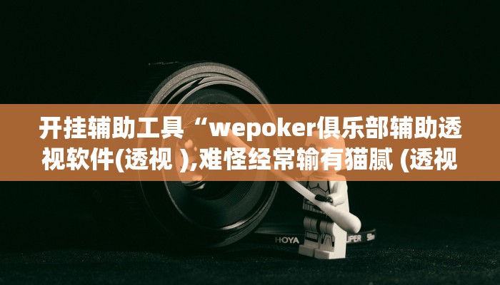 玩家辅助神器:“wepoker德州局透视挂辅助软件”其实确实有挂