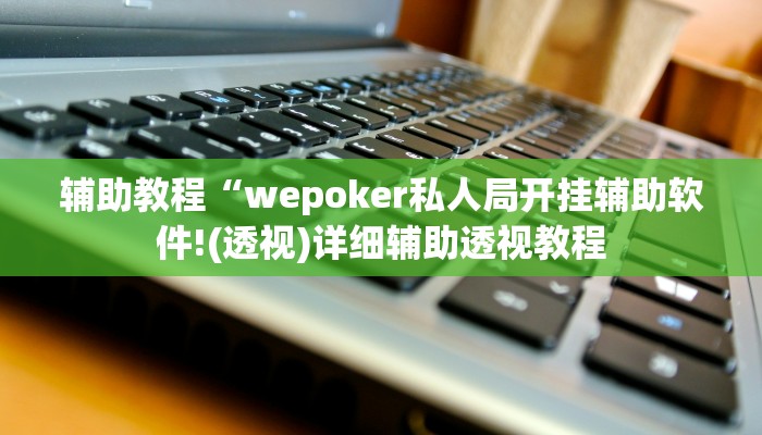辅助教程“wepoker私人局开挂辅助软件!(透视)详细辅助透视教程