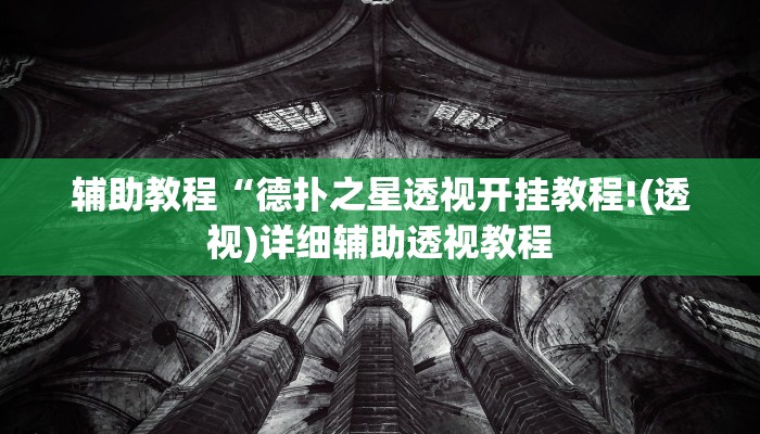 辅助教程“德扑之星透视挂作弊辅助方法!(透视)详细辅助透视教程
