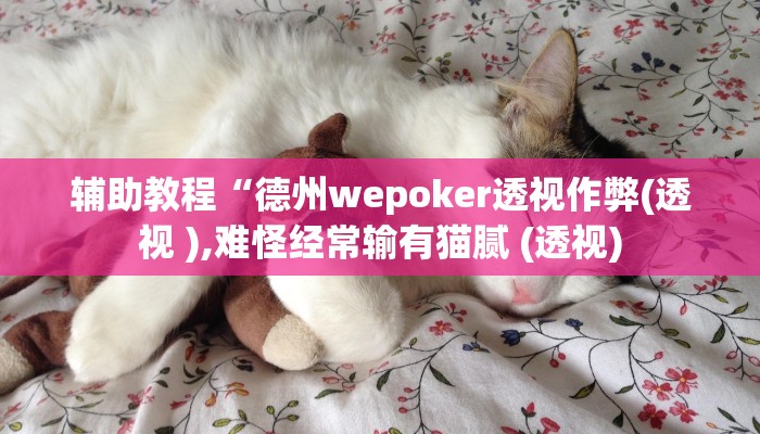 辅助教程“德州wepoker透视作弊(透视 ),难怪经常输有猫腻 (透视)