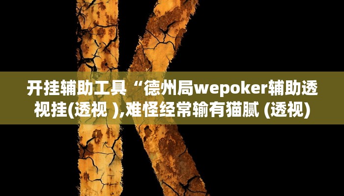 开挂辅助工具“德州局wepoker辅助透视挂(透视 ),难怪经常输有猫腻 (透视)