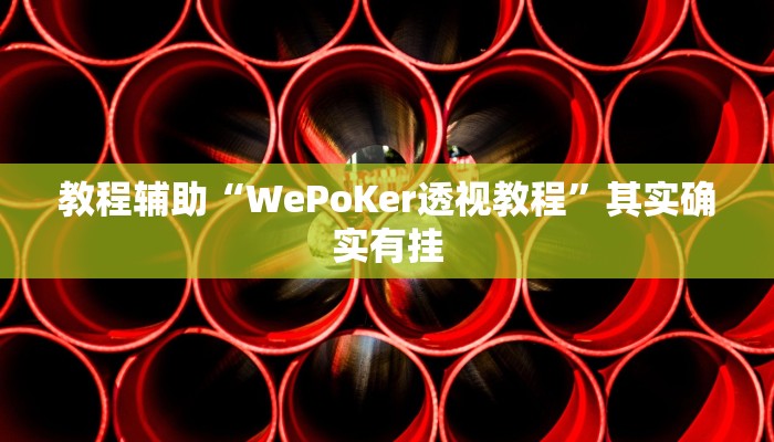 教程辅助“WePoker德州局透视挂辅助软件”其实确实有挂