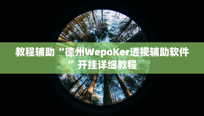 教程辅助“德州WepoKer透视辅助软件”开挂详细教程