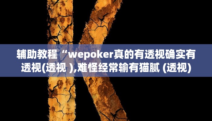 开挂辅助工具“hhpoker透视脚本,难怪经常输&原来有猫腻