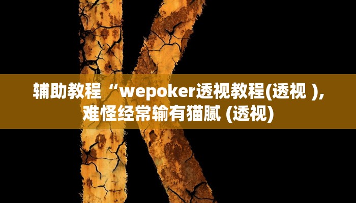 玩家辅助神器:“WePoker真的有透视挂吗”其实确实有挂