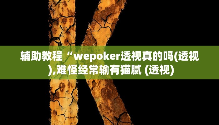 辅助教程“wepoker透视真的吗(透视 ),难怪经常输有猫腻 (透视)