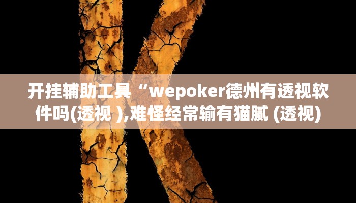 开挂辅助工具“wepoker德州有透视软件吗(透视 ),难怪经常输有猫腻 (透视)