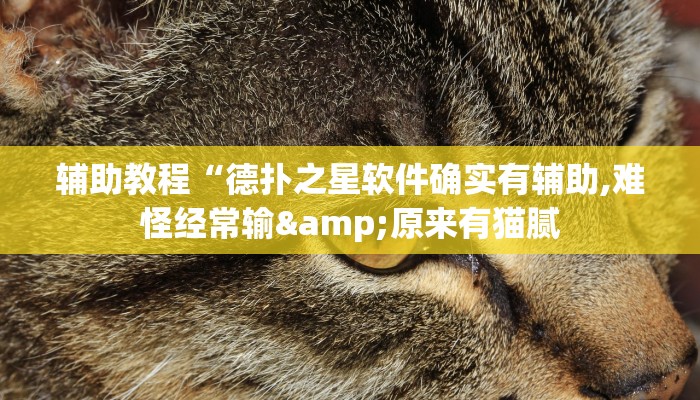 开挂辅助工具“德扑之星作弊挂透视辅助软件!(透视)详细辅助透视教程