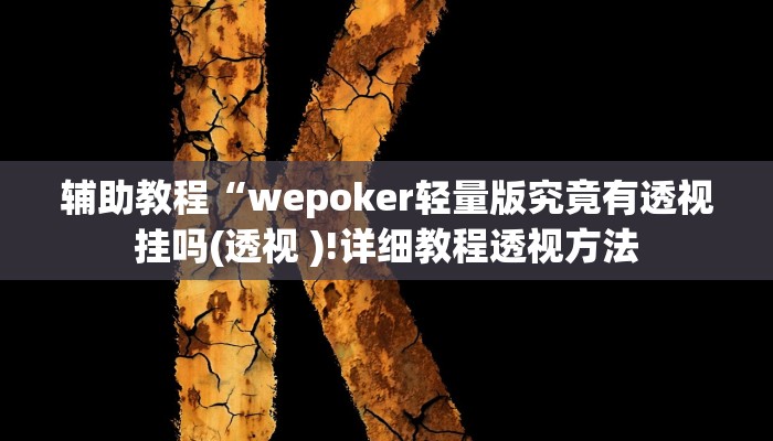 玩家辅助神器:“wePoker辅助作弊透视挂”开挂详细教程