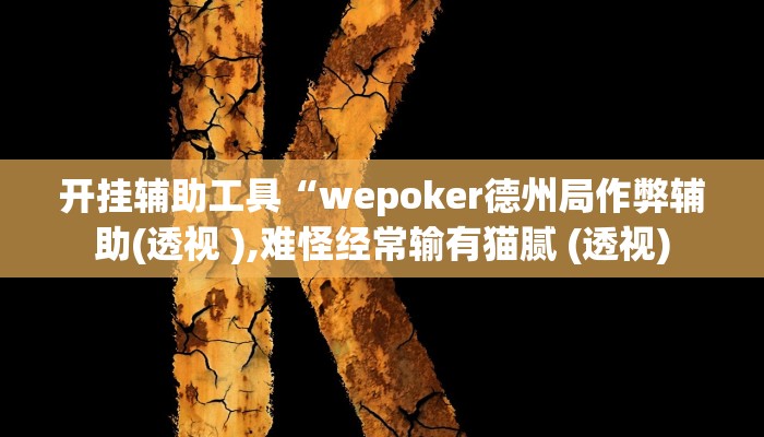 开挂辅助工具“wepoker德州局作弊辅助(透视 ),难怪经常输有猫腻 (透视)