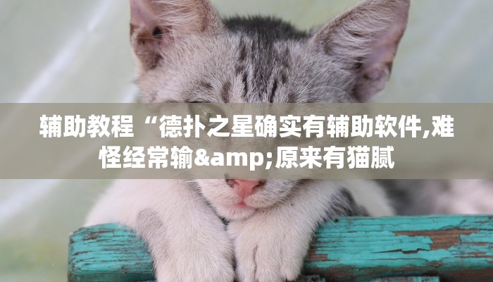 教程辅助“AApoker开挂透视软件”其实确实有挂