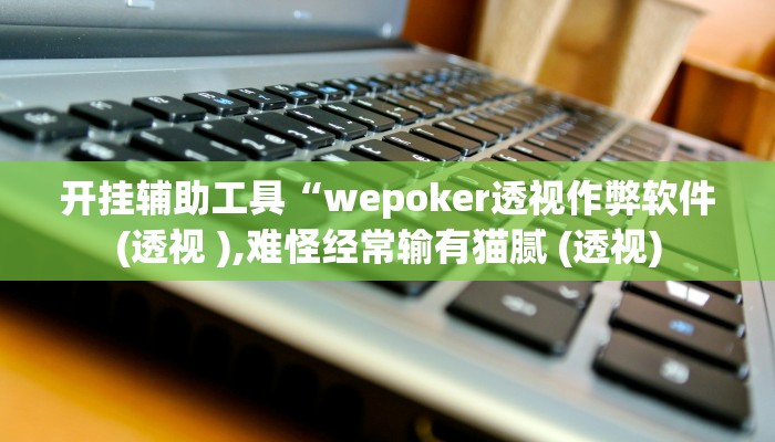 开挂辅助工具“wepoker透视作弊软件(透视 ),难怪经常输有猫腻 (透视)