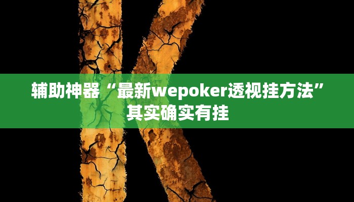 辅助神器“最新wepoker透视挂方法”其实确实有挂