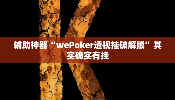 辅助神器“wePoker透视挂破解版”其实确实有挂